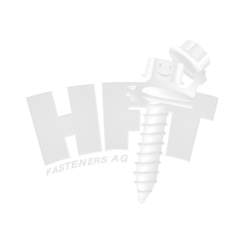 IE-X BR 2 T -- 4.8 x 25 ( 1.5-3.5mm ) Bohrschraube Torx 20 Inox